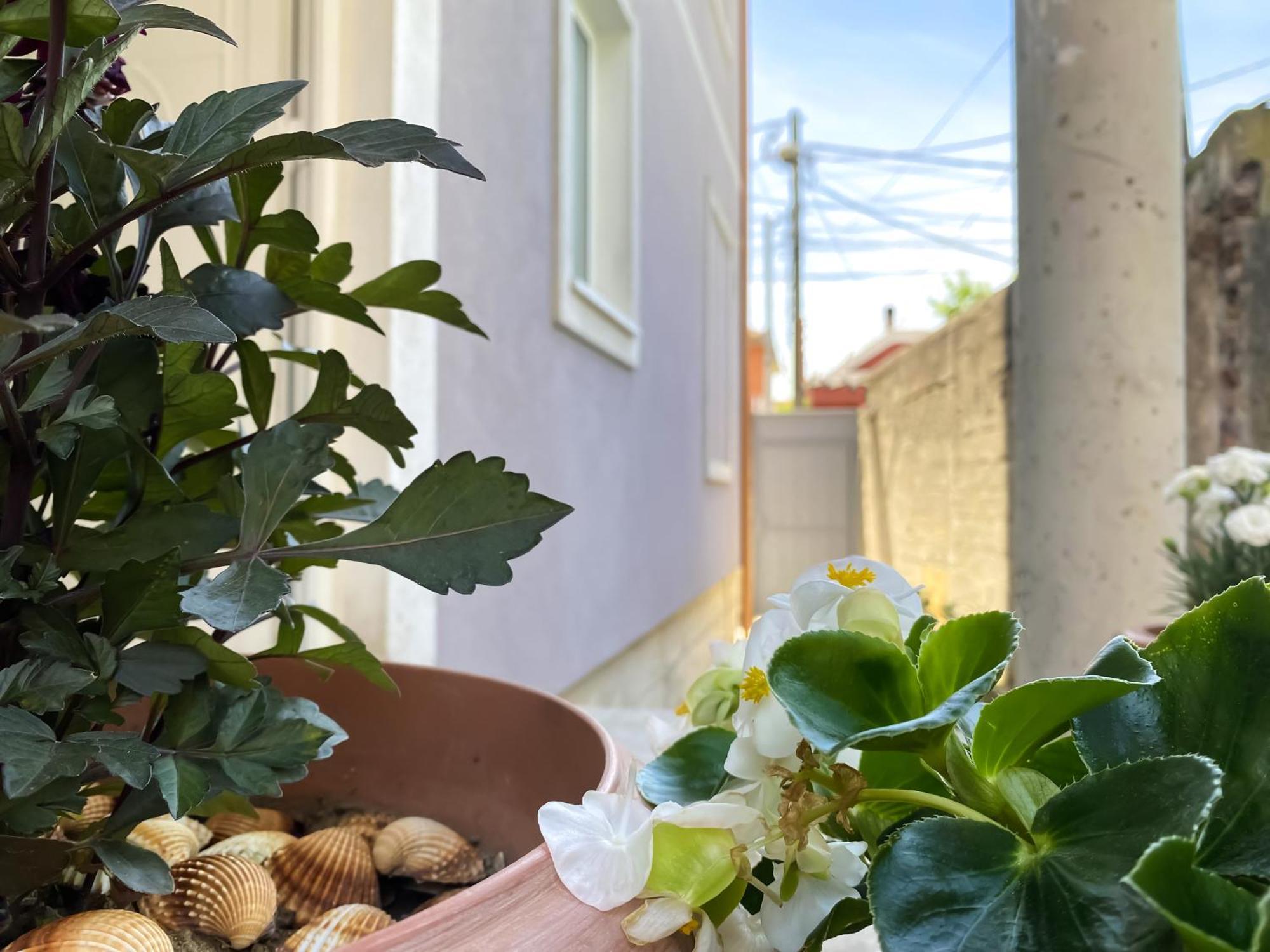 Apartment Northgate Apart-villa Shkodra