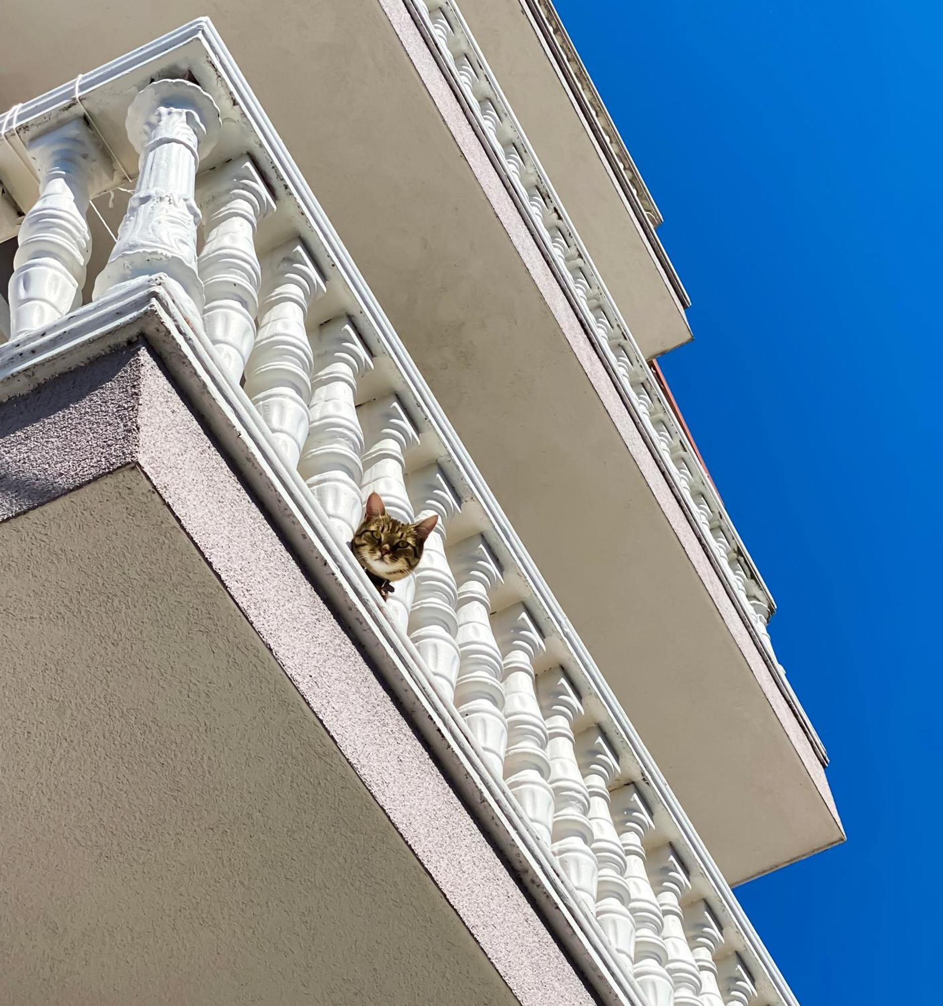 Northgate Apart-villa Shkodra